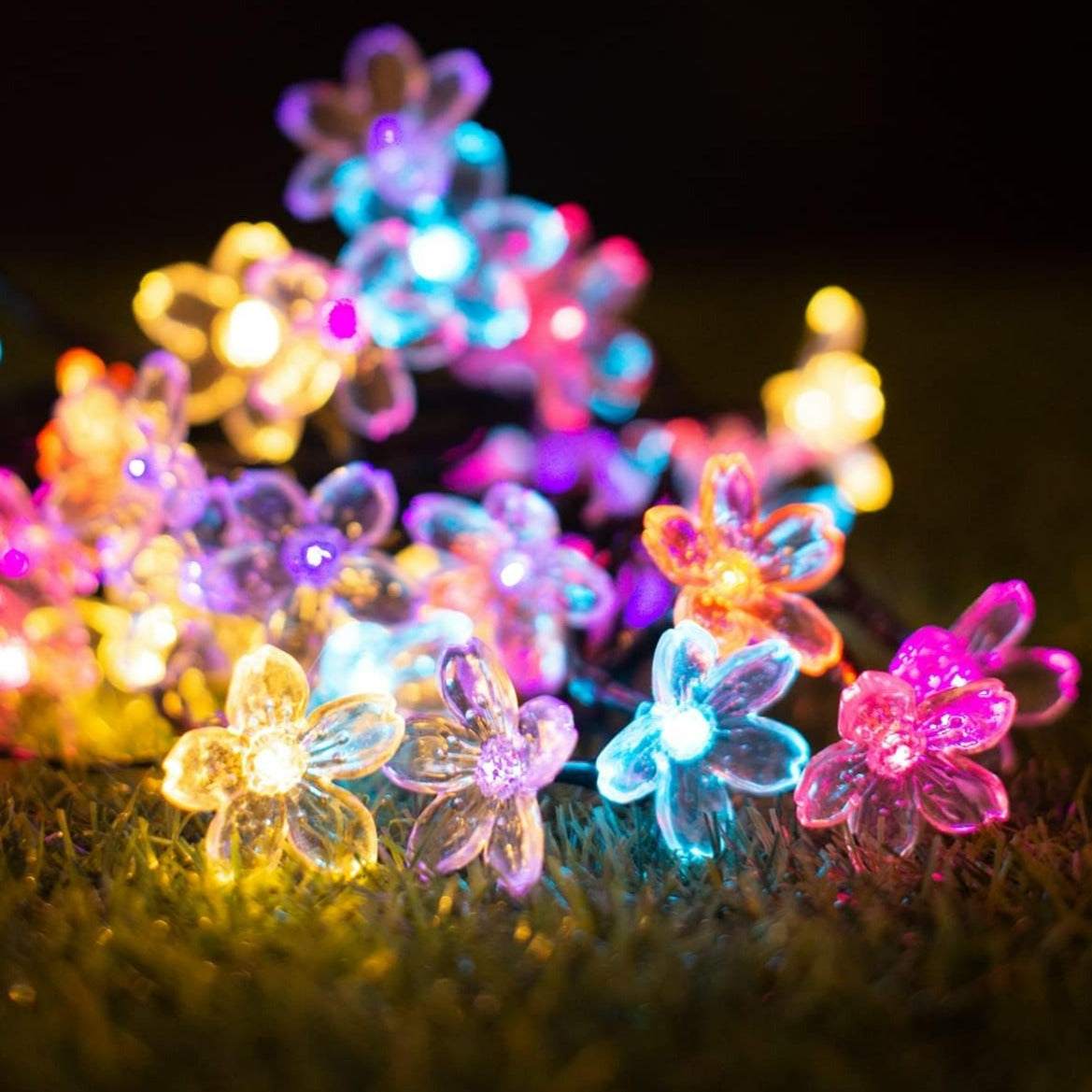 Led Cherry String Light Hilights - 50 LED Cherry Blossom Solar String Lights (COLOUR)