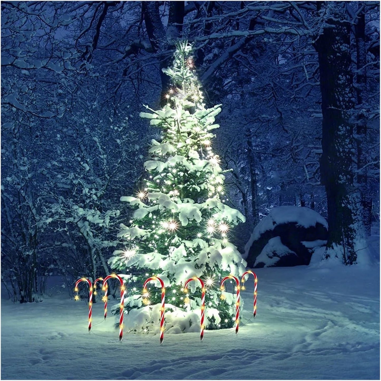 Solar Christmas Candy Cane Lights (Set of 5)