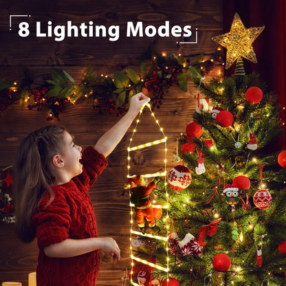 Christmas Climbing Santa On Star Ladder LED Lights (Solar/Plug) (Warm White)