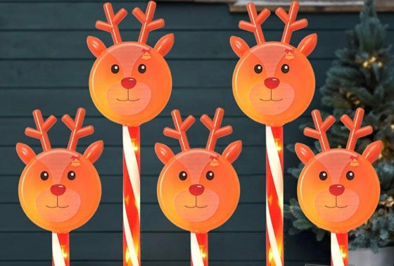 Solar Christmas Reindeer Garden Lights (Set of 5)